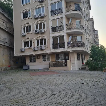 Selvili 1 *