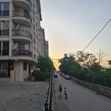 Selvili 1 *